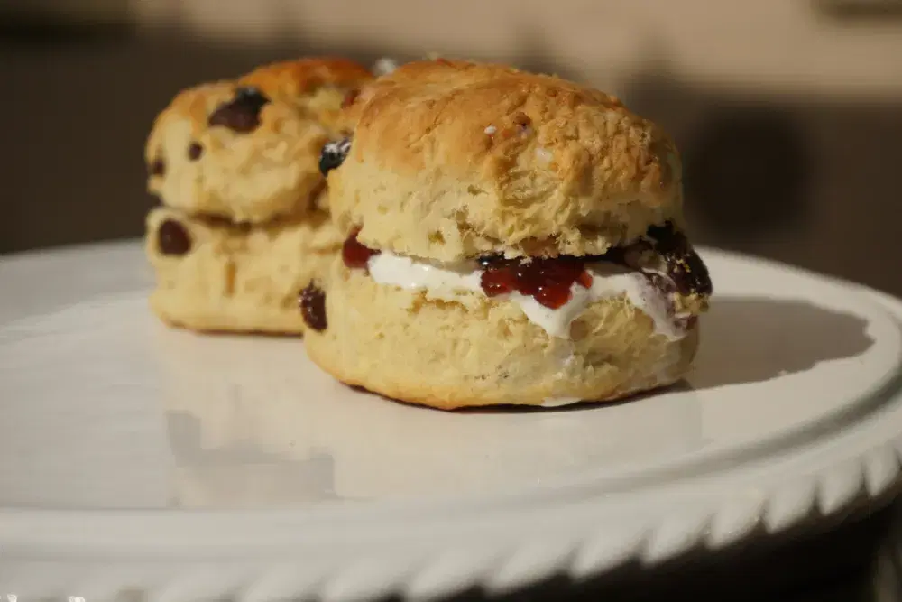 Blueberry Scone